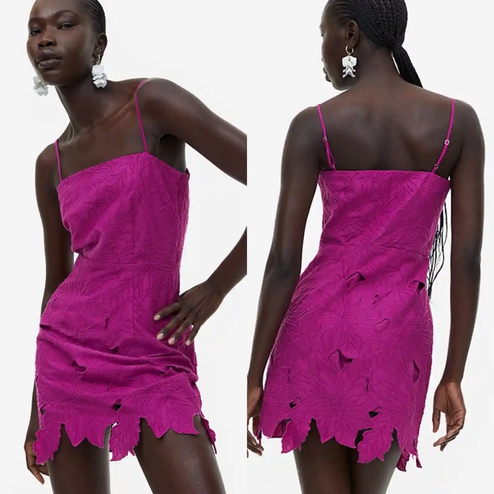 H&M Embroidered Floral Magenta Dress NWT
